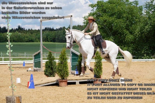 s_K3F06317.JPG